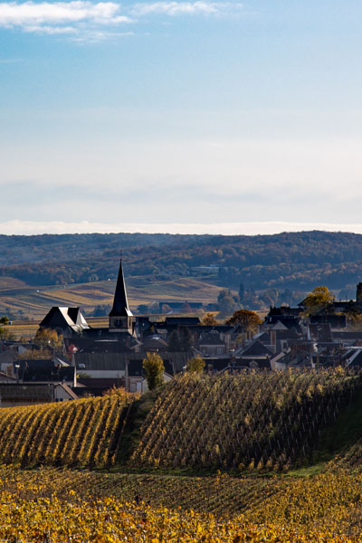 Champagne François Fagot - Le vignoble